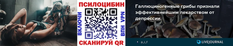 Купить  Духовщина  Псилоцибиновые грибы прущие грибы 